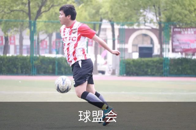 球盟会